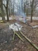 Foto vom Album: Lagerfeuer Weinbergstrasse