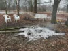 Foto vom Album: Lagerfeuer Weinbergstrasse