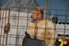 Foto vom Album: Fasching 2026 - 1. Veranstaltung