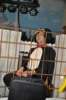 Foto vom Album: Fasching 2026 - 1. Veranstaltung
