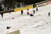 Foto vom Album: 2026-02-15 Märkischer Wintersporttag
