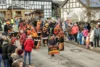 Foto vom Album: Karnevalsumzug
