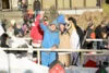 Foto vom Album: Karnevalsumzug