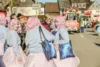 Foto vom Album: Karnevalsumzug