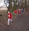 Foto vom Album: Crosslaufserie_2026_1
