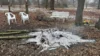 Foto vom Album: Rückblick 14 Tage 150226