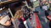 Foto vom Album: Karneval 2026