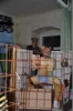 Foto vom Album: Fasching 2026 - 2. Veranstaltung