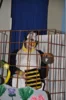 Foto vom Album: Fasching 2026 - 2. Veranstaltung