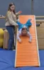 Foto vom Album: Fasching 2026