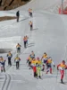 Foto vom Album: Otto Wahl Lauf 2025