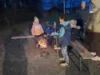 Foto vom Album: Baumleuchten