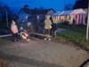 Foto vom Album: Baumleuchten