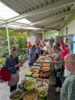 Foto vom Album: Frauenmarkt - Klappe, die Zweite
