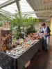 Foto vom Album: Frauenmarkt - Klappe, die Zweite