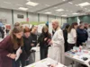Foto vom Album: Gesamtschule