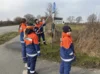 Foto vom Album: Frühjahrsputz