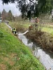 Foto vom Album: Ölspur Spießbach