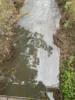 Foto vom Album: Ölspur Spießbach