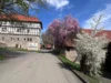 2f47cd6d-2040-4941-8091-c5503754d01a
