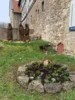 Foto vom Album: Frühjahr