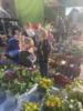Foto vom Album: Frühling