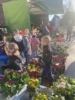 Foto vom Album: Frühling