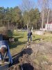 Foto vom Album: Schulgarten reloaded – Mission Frühling gestartet