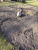 Foto vom Album: Schulgarten reloaded – Mission Frühling gestartet