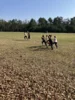 Foto vom Album: Schulcrosslauf