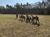 Foto vom Album: Schulcrosslauf