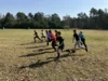 Foto vom Album: Schulcrosslauf
