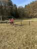 Foto vom Album: Schulcrosslauf