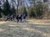 Foto vom Album: Schulcrosslauf
