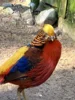 Foto vom Album: Ein tolles Tierparkerlebnis