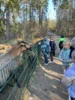 Foto vom Album: Ein tolles Tierparkerlebnis
