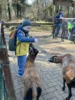 Foto vom Album: Ein tolles Tierparkerlebnis
