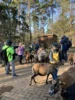 Foto vom Album: Ein tolles Tierparkerlebnis