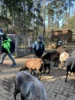Foto vom Album: Ein tolles Tierparkerlebnis