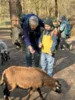 Foto vom Album: Ein tolles Tierparkerlebnis