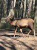 Foto vom Album: Ein tolles Tierparkerlebnis