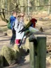 Foto vom Album: Ein tolles Tierparkerlebnis