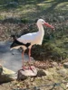 Foto vom Album: Ein tolles Tierparkerlebnis