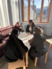 Foto vom Album: Aprilwetter in Neukölln