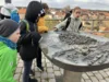 Foto vom Album: Prignitzmuseum Havelberg