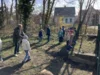 Foto vom Album: Ostergrüße aus der Schule