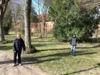 Foto vom Album: Ostergrüße aus der Schule