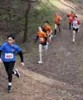 Foto vom Album: 4.crosslauf2026