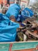 Die gesammelten Abfälle nach dem Umladen am Ende