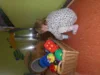 Foto vom Album: Ostern